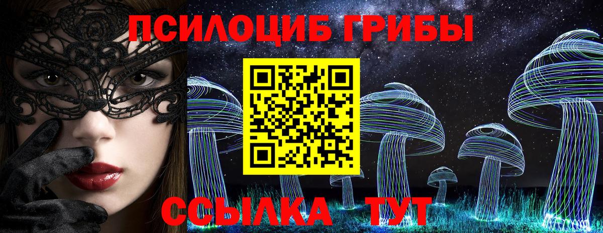 Псилоцибиновые грибы Psilocybine cubensis  Вход с VPN  Сухой Лог 